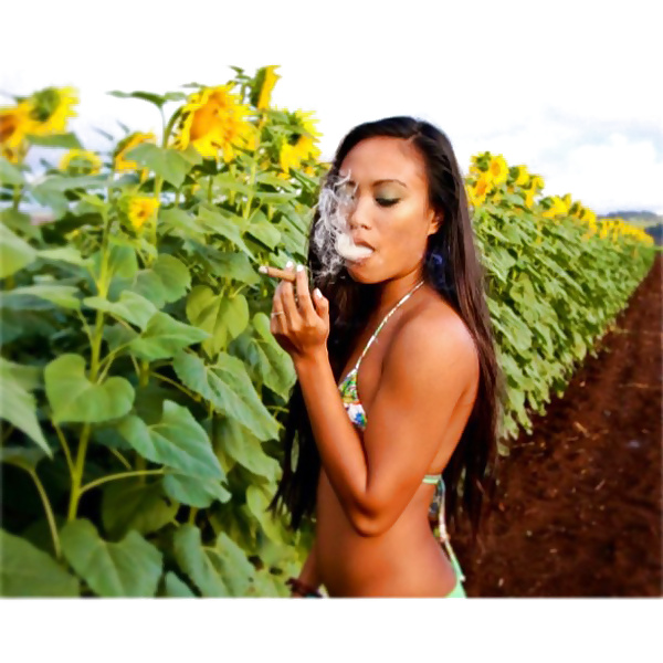 Smokin smokers!  #25100647