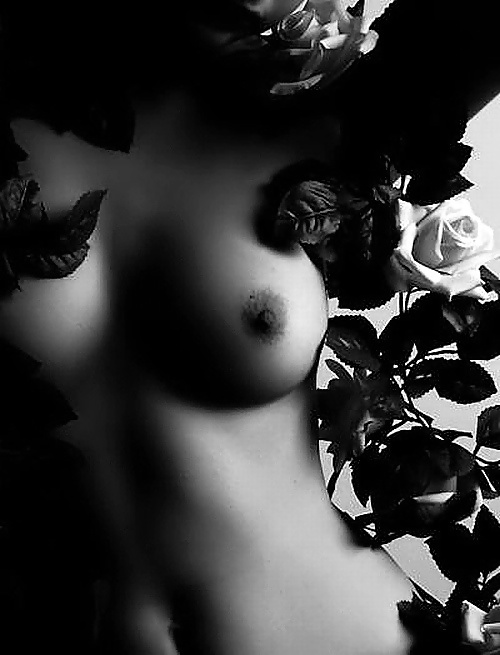 Janas Art de la Joie 637 #39084757