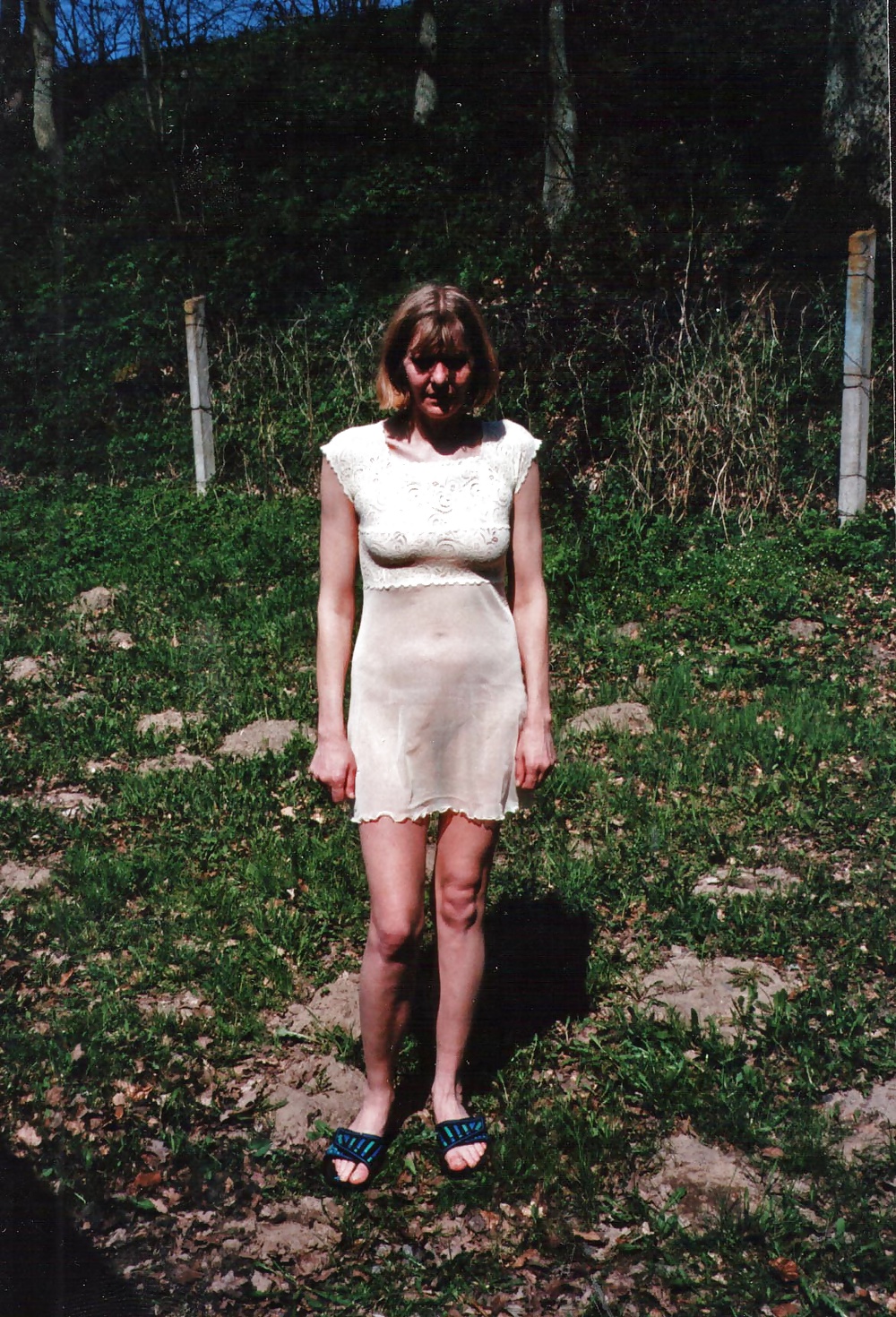 Transparent #31849814