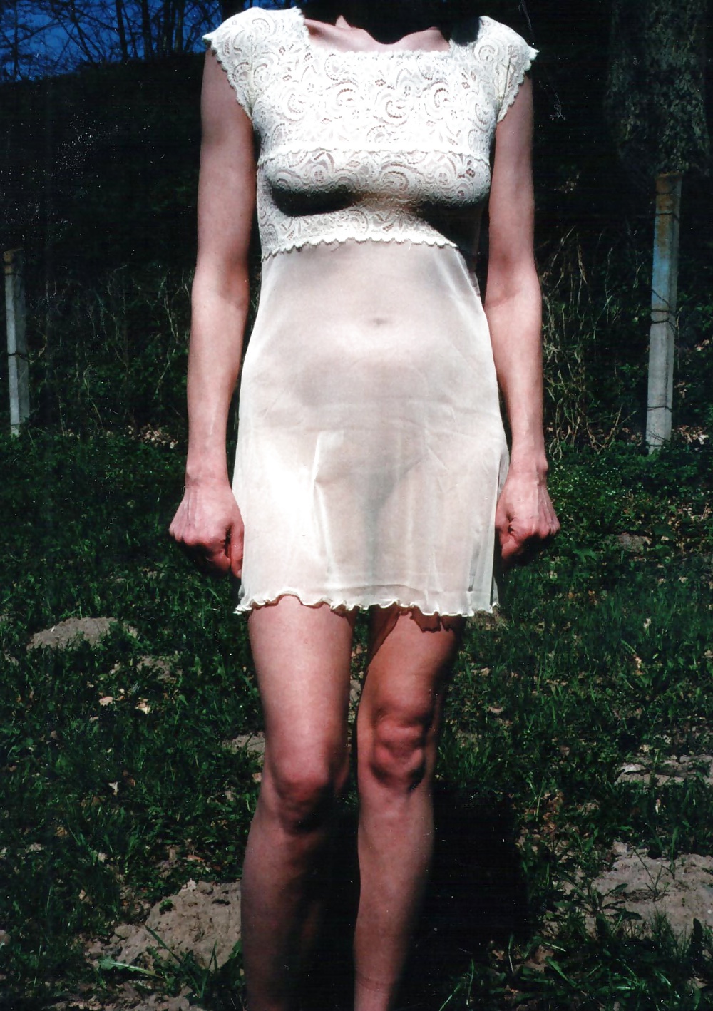 Transparent #31849815