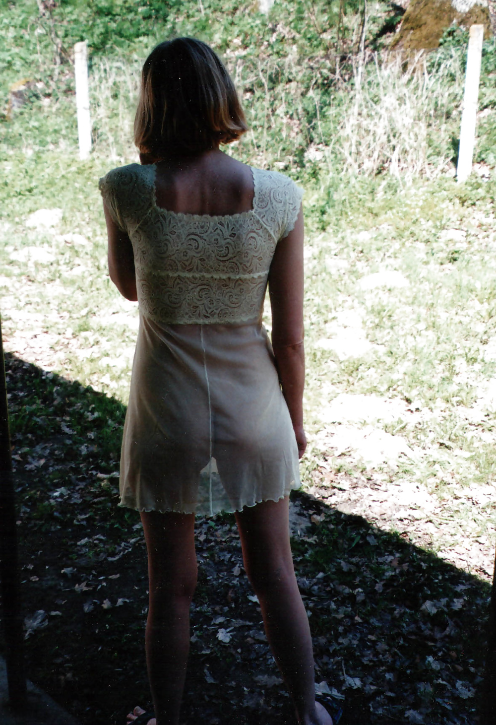 Transparent #31849816