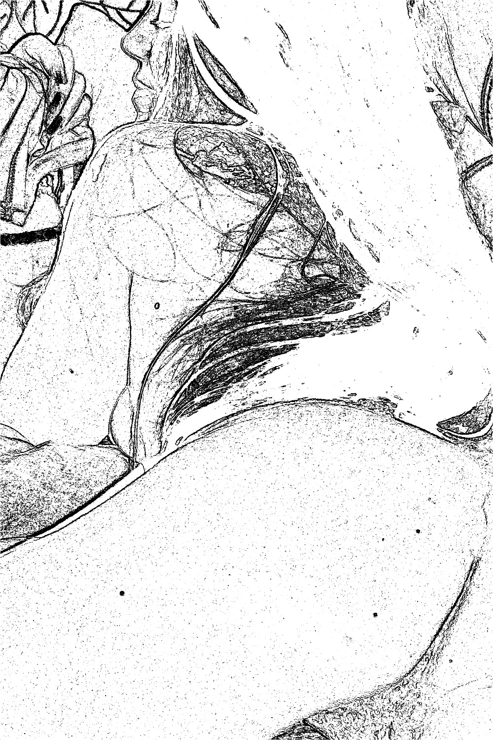 Digital Effects #23810548
