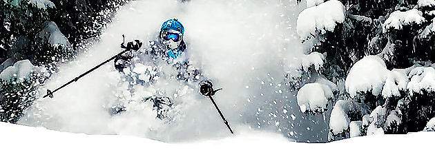 私の作品の写真
 #31901028