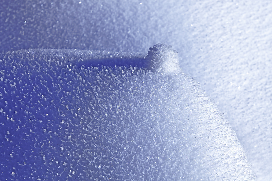 私の作品の写真
 #31901029