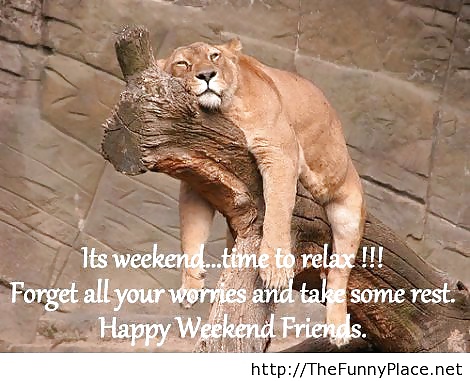 Fin de semana
 #24509289