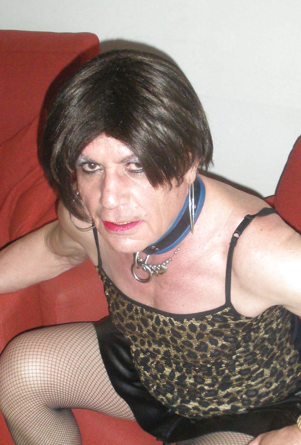 Lara Tranny3 #24256754