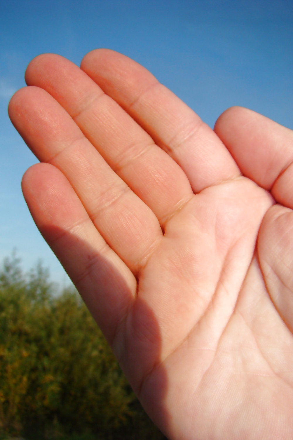 Mano hardp6969
 #30428811