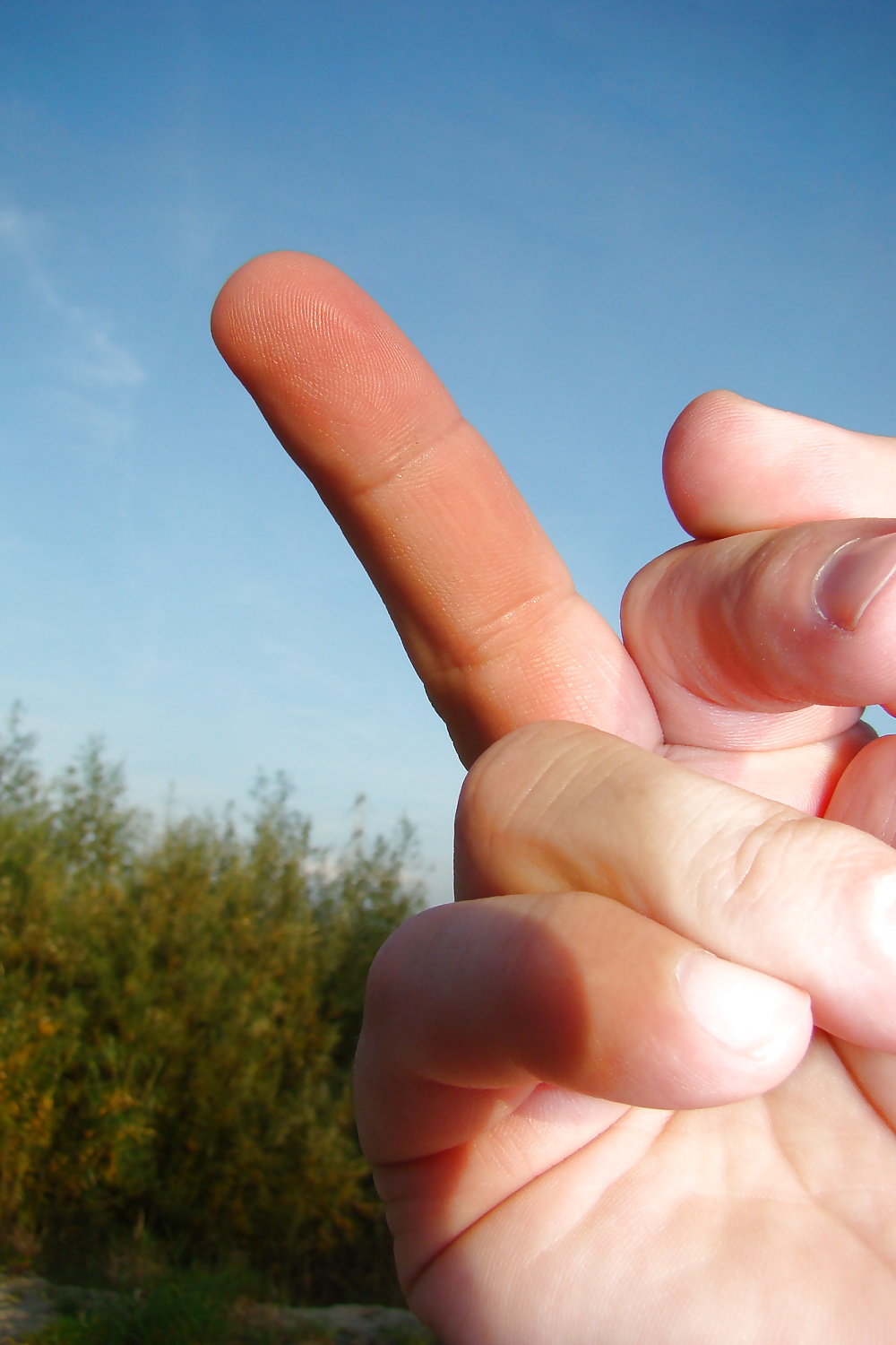 Mano hardp6969
 #30428818