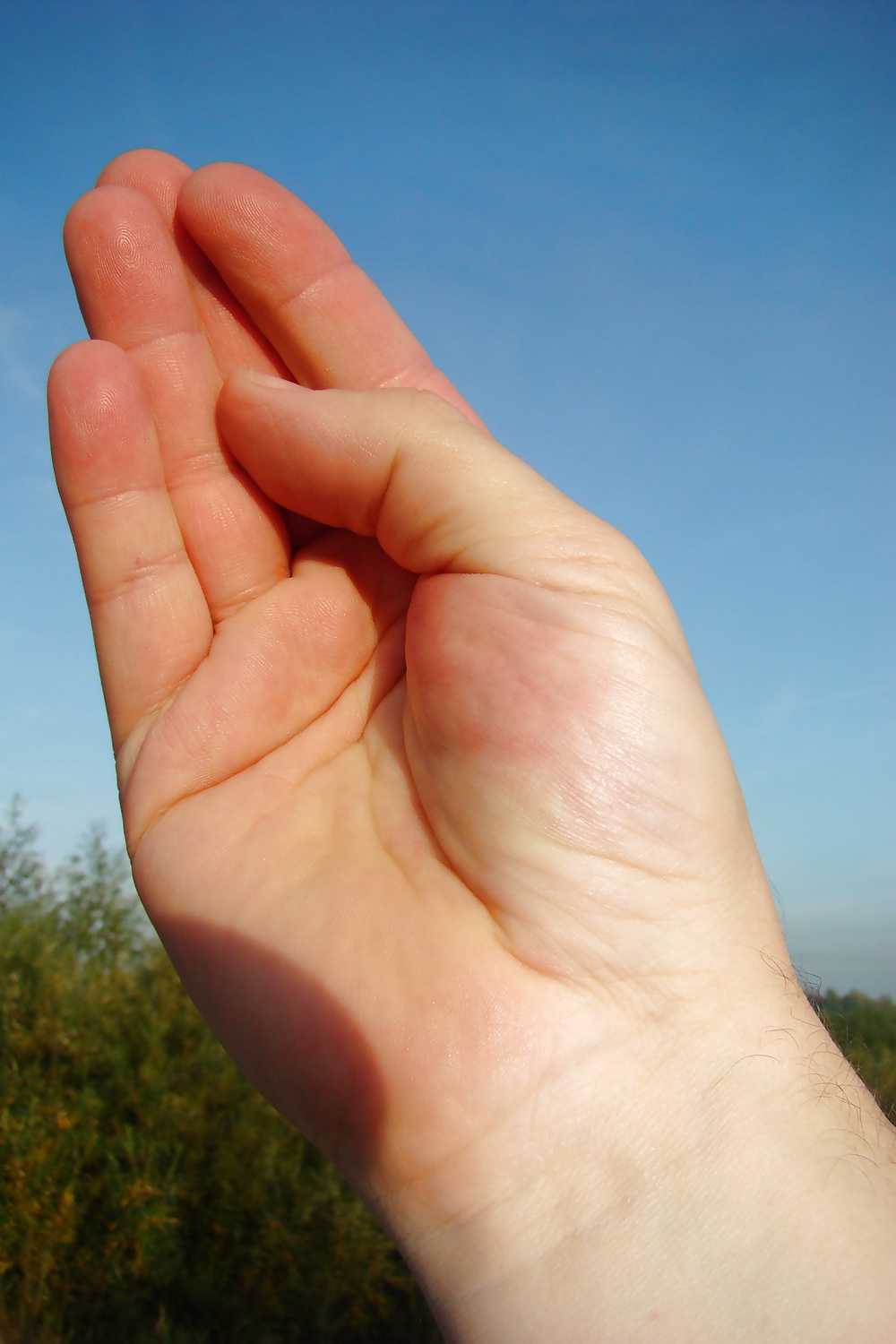 Mano hardp6969
 #30428823