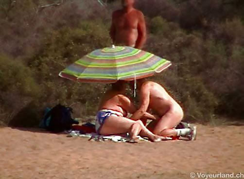 Beach Swingers and Exhibitionists #35966177