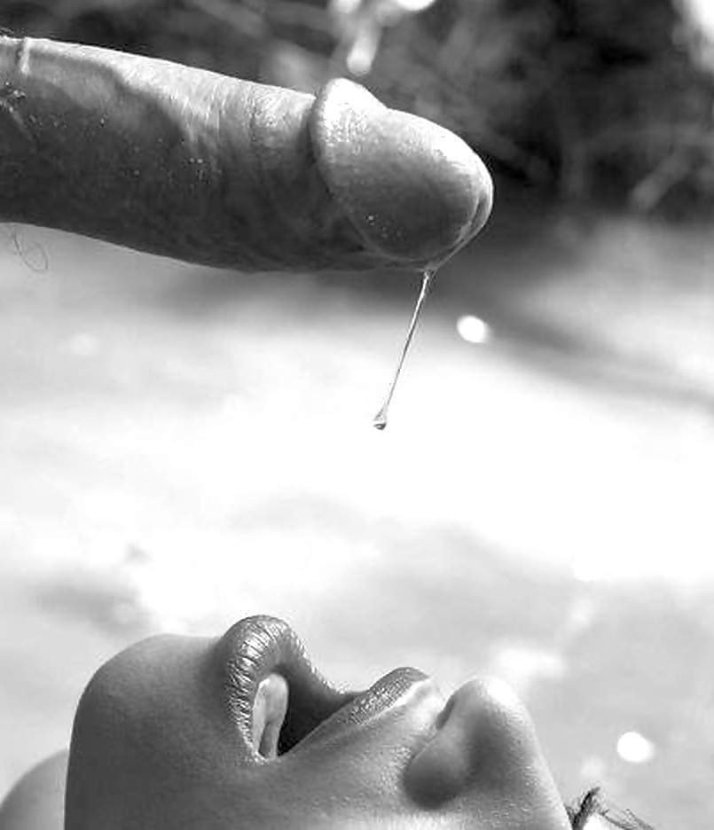 Put it in! #32746535