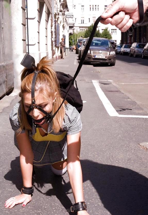 ペットガール
 #25358134