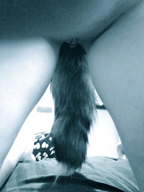 ペットガール
 #25358176