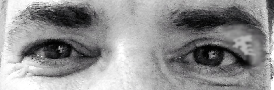 Immer interessiert
 #23835102