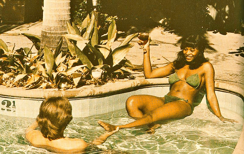 Retro Series #24716064