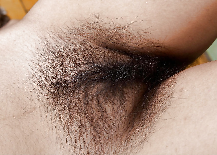 Hairy bush close-up #33819480