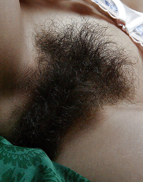 Hairy bush close-up #33819599