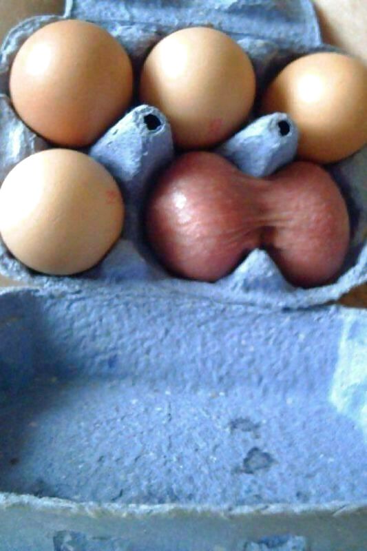 ちょうどテスト 
 #25921146