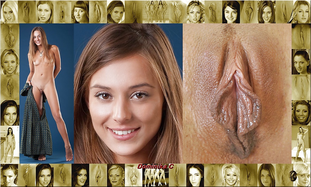 Face and Vagina #38619384