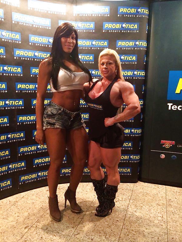 Veronica bolina 12
 #29941158