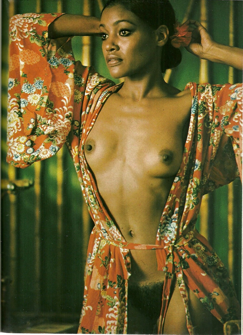 1980's Ebony Babes #23059062