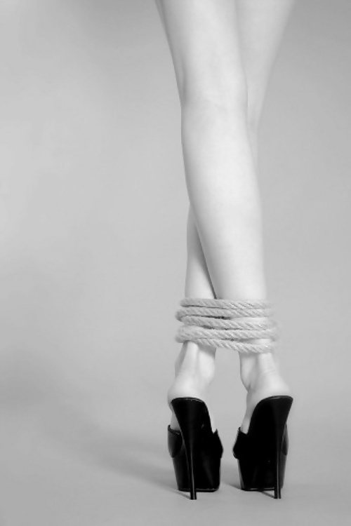 アペテンシー
 #32767242