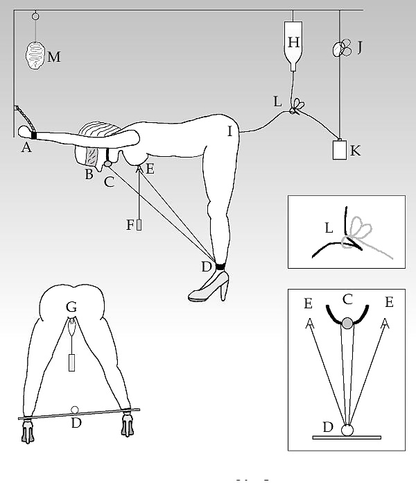 Tecnica di auto-bondage
 #33090629