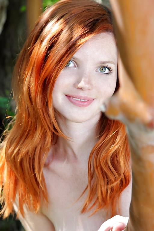 REDHEAD SINDI #33400585