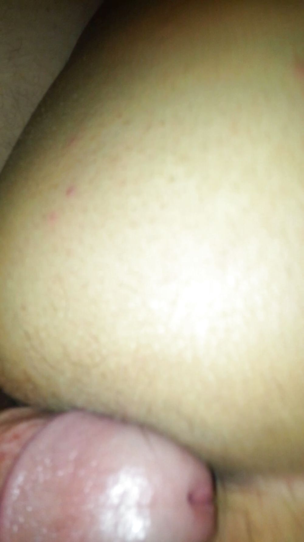 Mi culo sexy
 #36985592