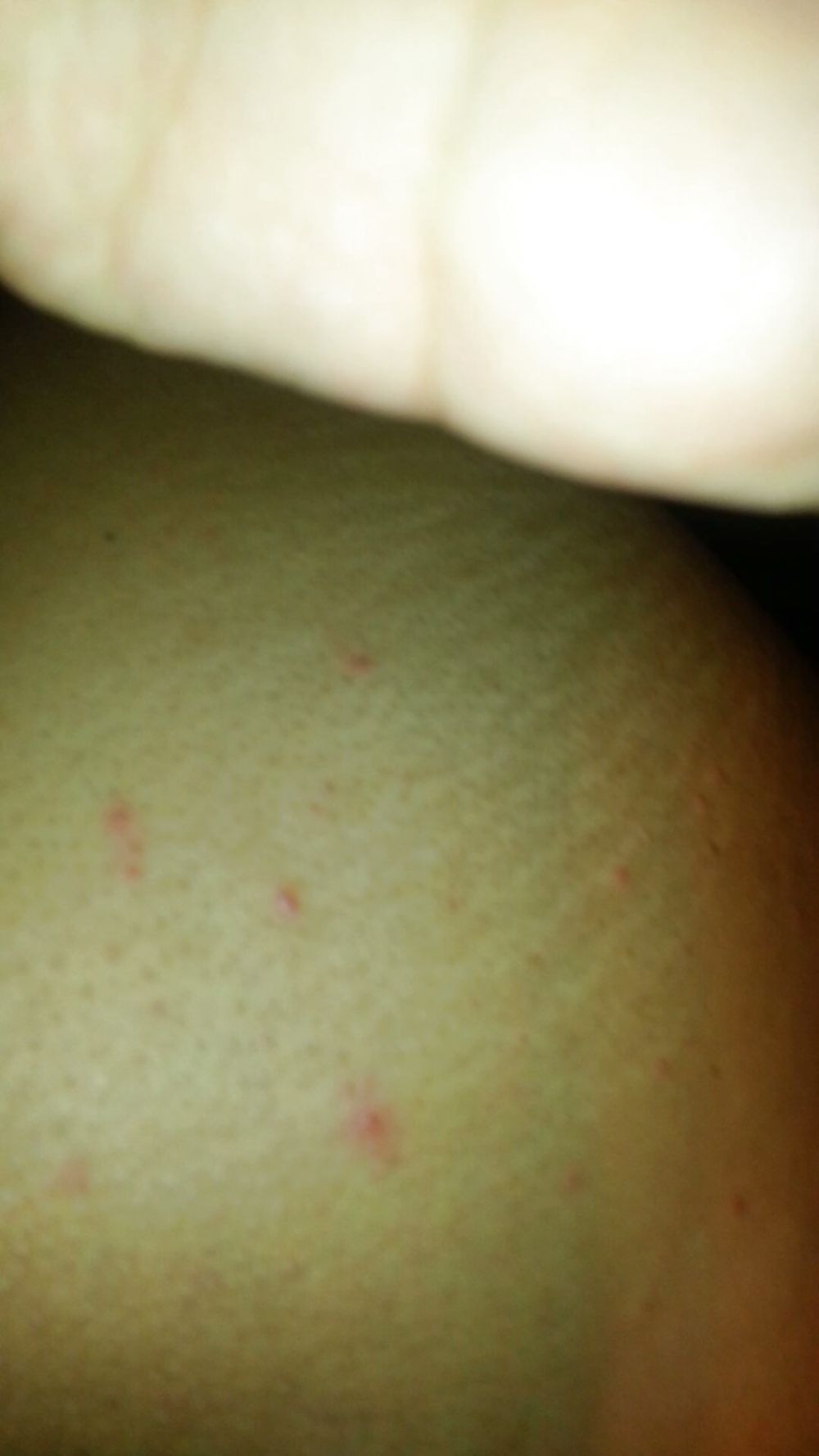 Mi culo sexy
 #36985594