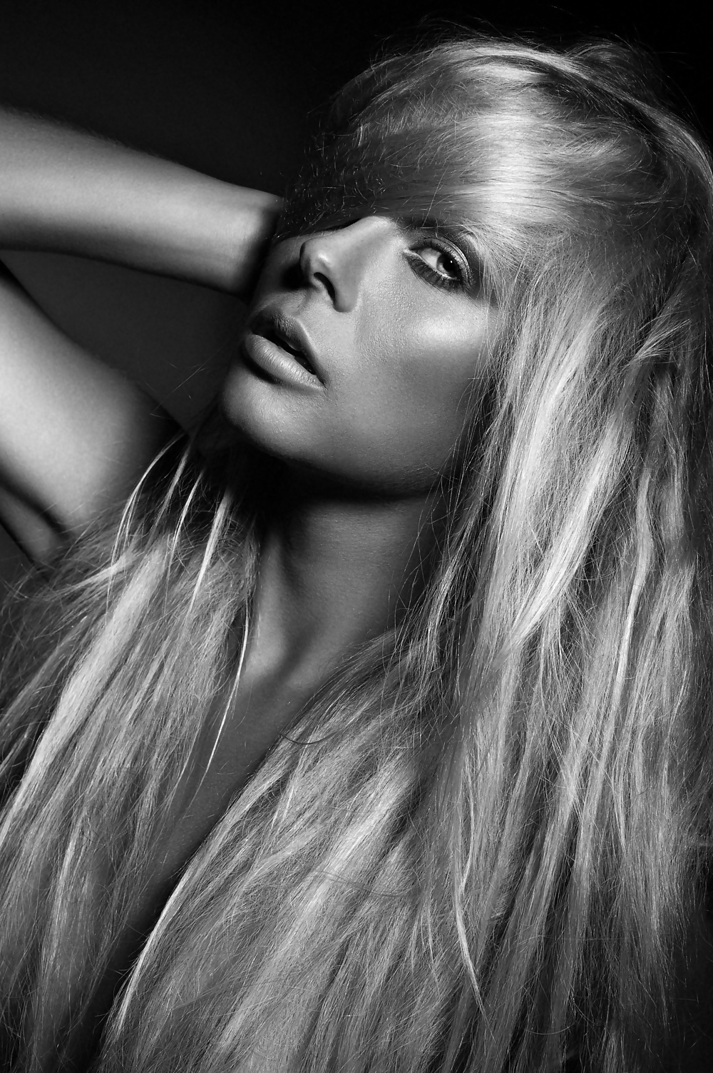 Belleza
 #34042089