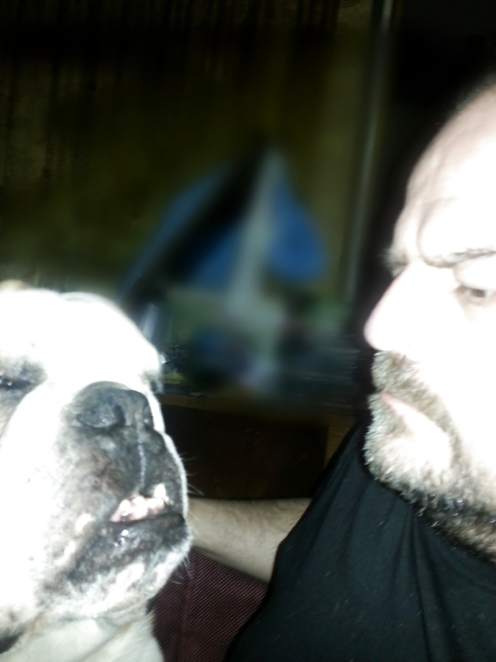 Me and the bulldog #26676150
