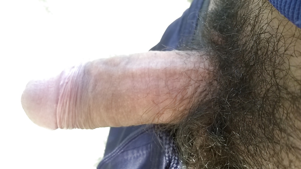 Mis otros
 #32563604