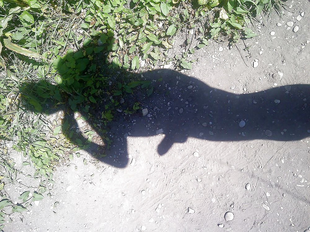 ¡Das eigene treibhaus!
 #41131282