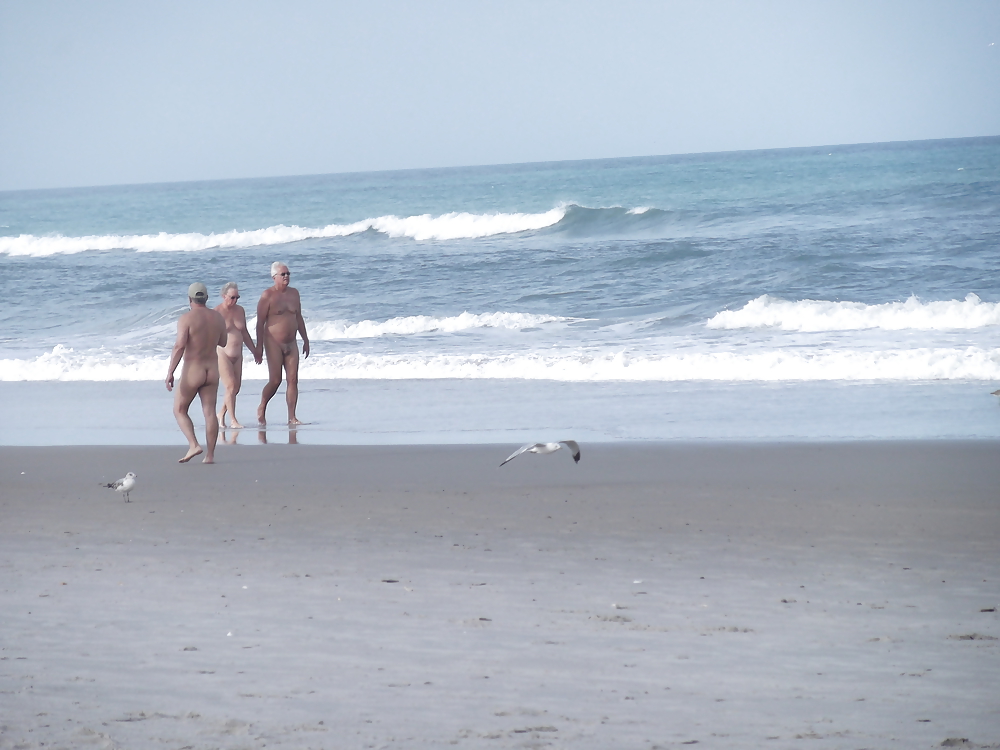 La spiaggia, gli uccelli e alcuni nudi
 #36340532