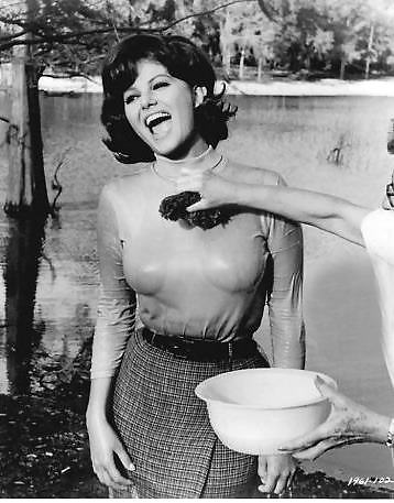 楽しい
 #34458436