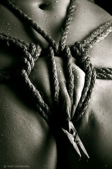 Art & Pleasure