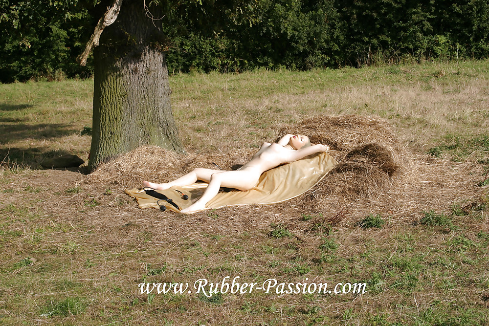 Latex Lucy in the hay #25011767