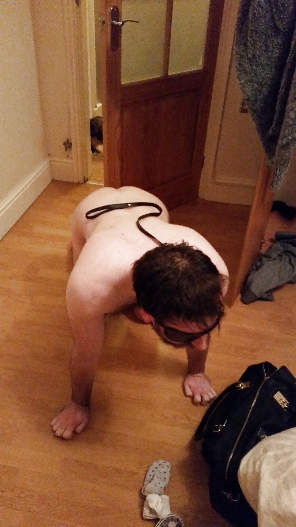 Para la señorita
 #40206544