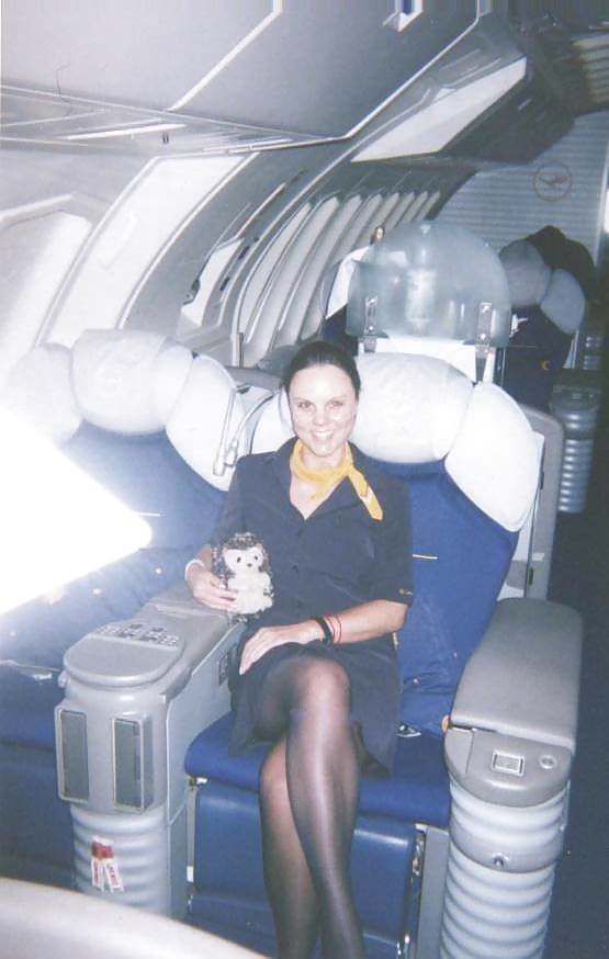 Stewardess and Airhostess in Nylons #32758421