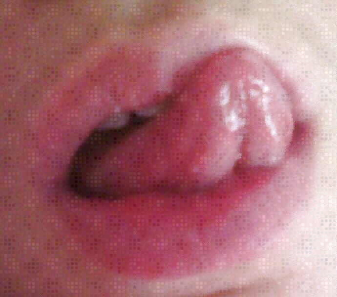 Turco zorra chigdem
 #23664937