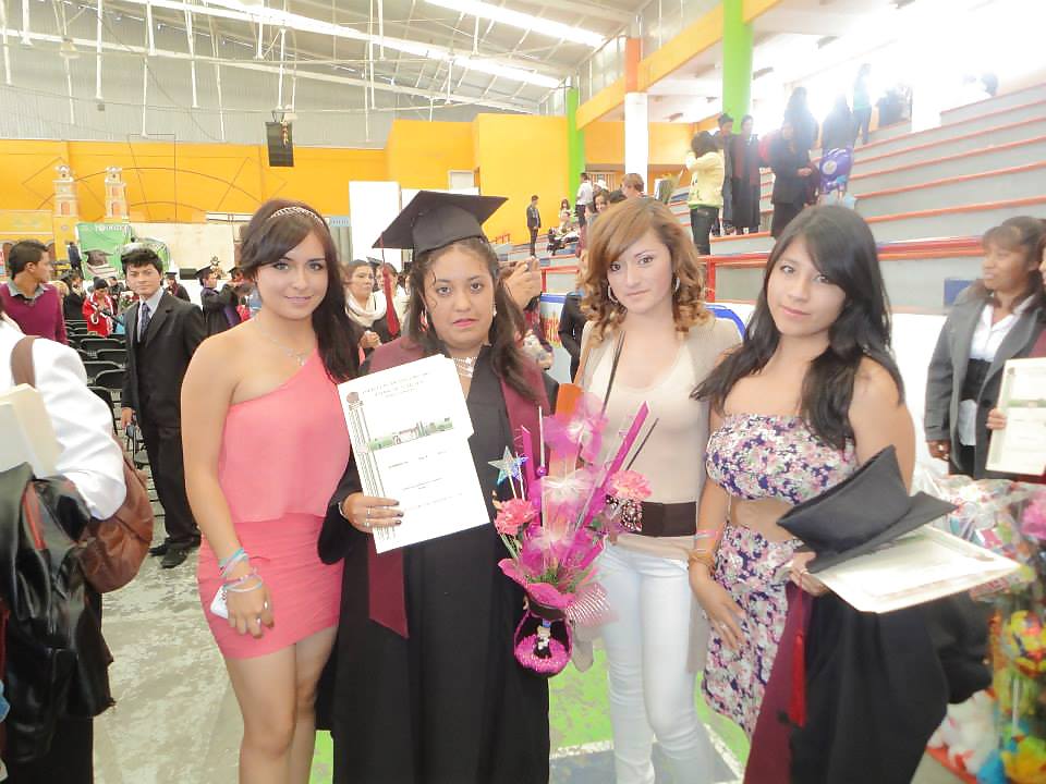 Vecinitas zorras
 #36331233