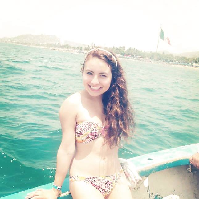 Vecinitas zorras
 #36331258