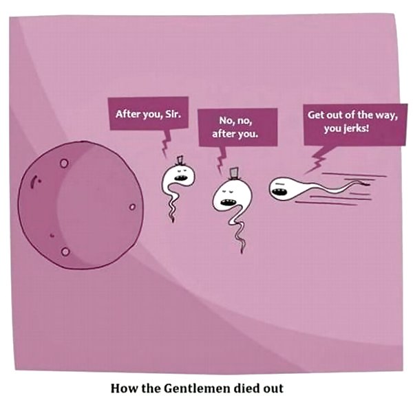 楽しい
 #34341443