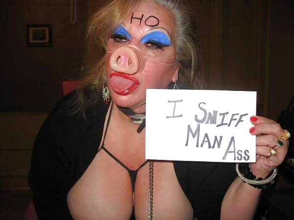 Pig Submissive Sluts #26184568