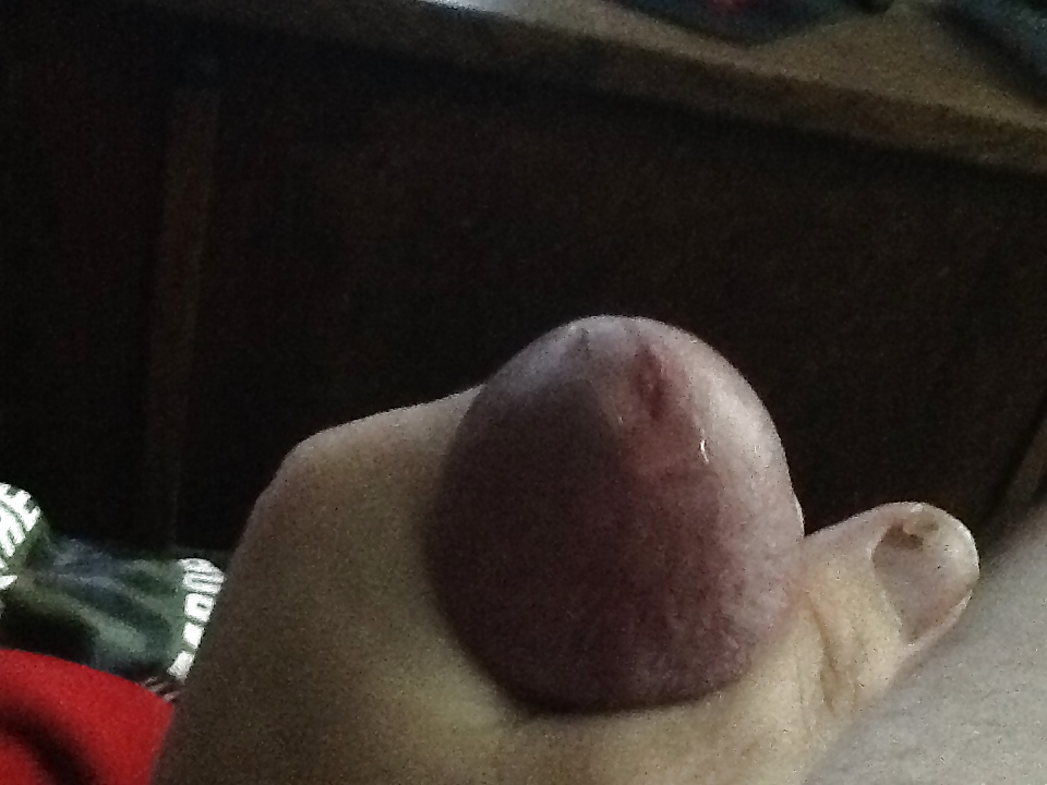 その他の写真
 #36086048