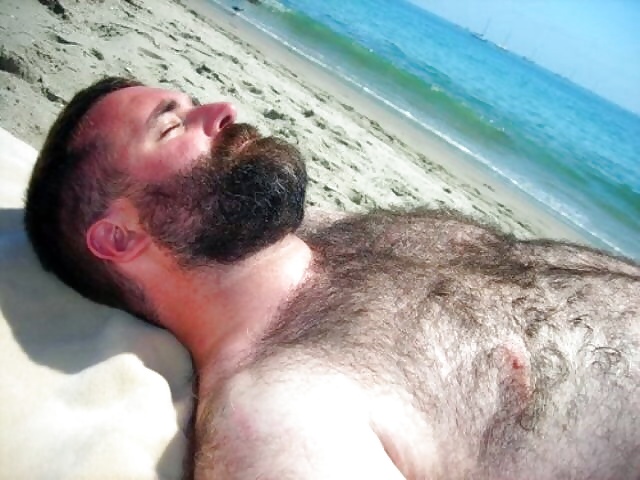 Sexy bears #32129660