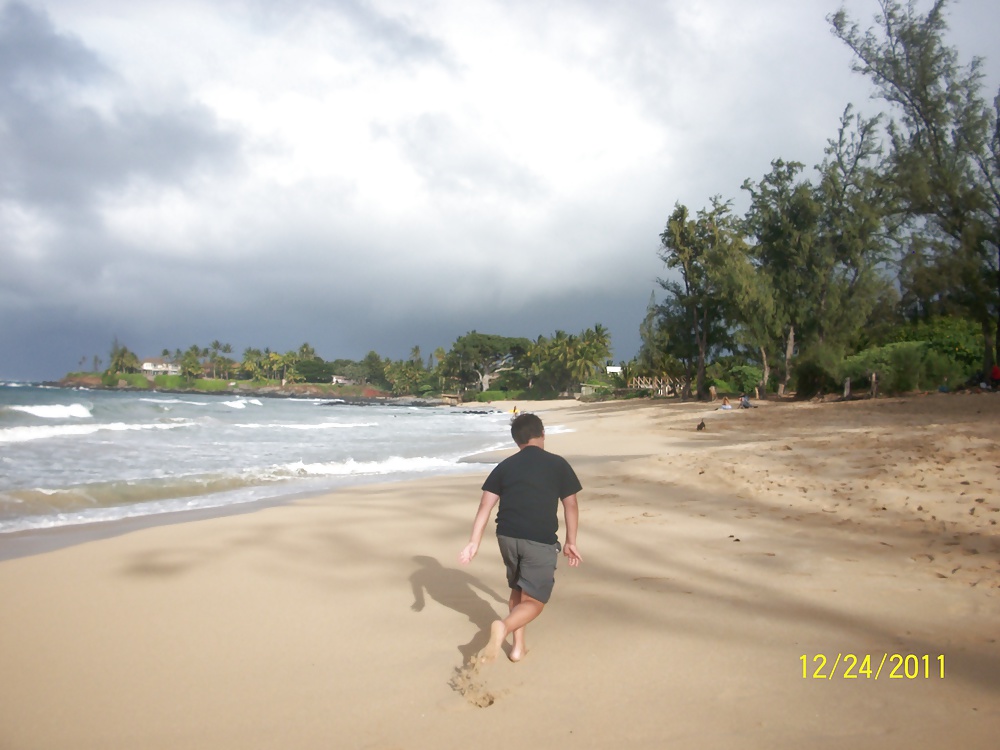 Hawaii beaches #40688109