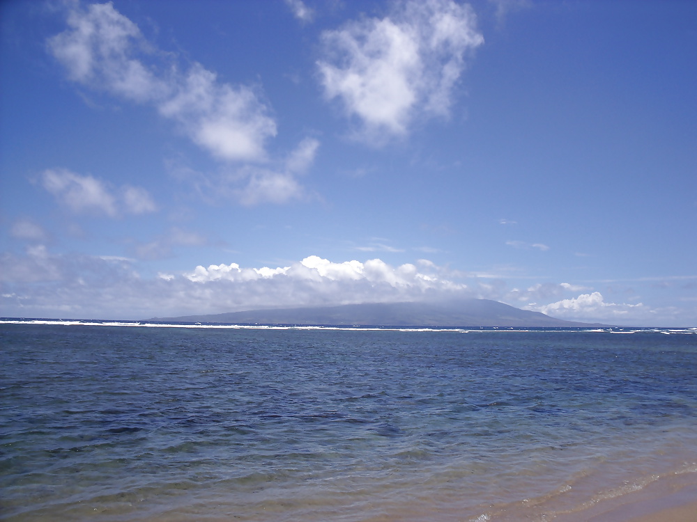 Hawaii beaches #40688183