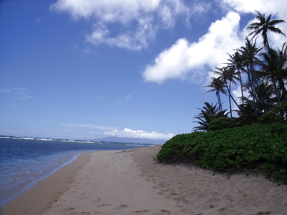 Hawaii beaches #40688192